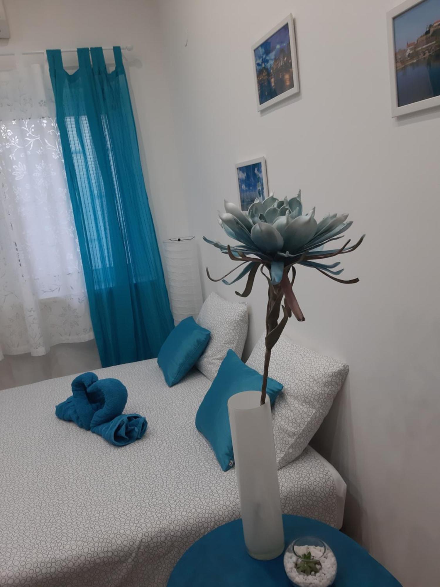 Fedra Lägenhet Novi Sad Exteriör bild